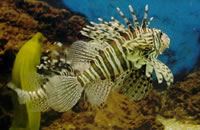 有可靠货源的网站ddos隐藏源ip